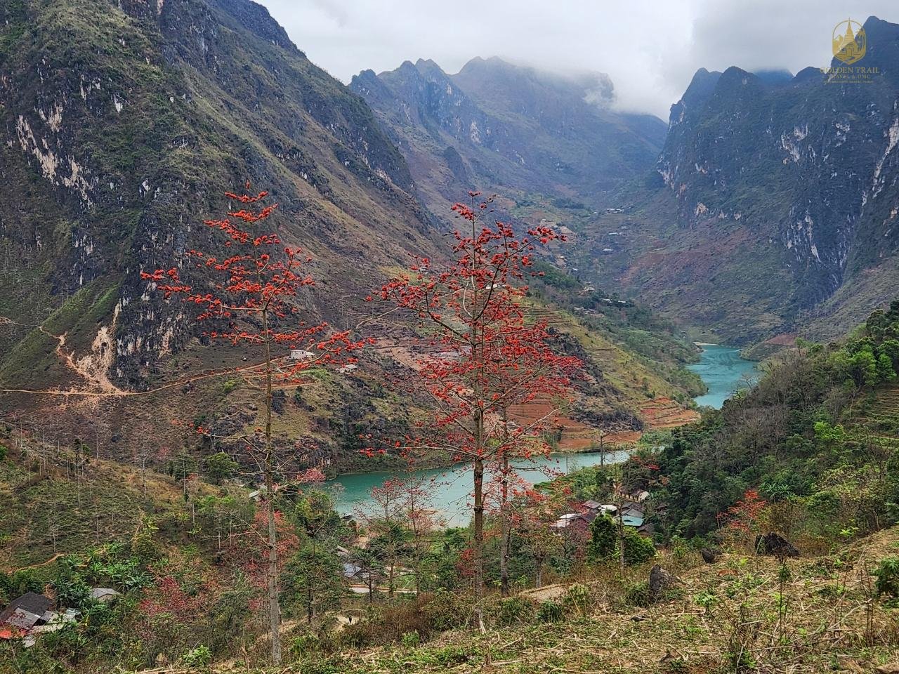 The Roads to the Sky: An Epic Guide to Vietnam’s Scenic Mountain Passes